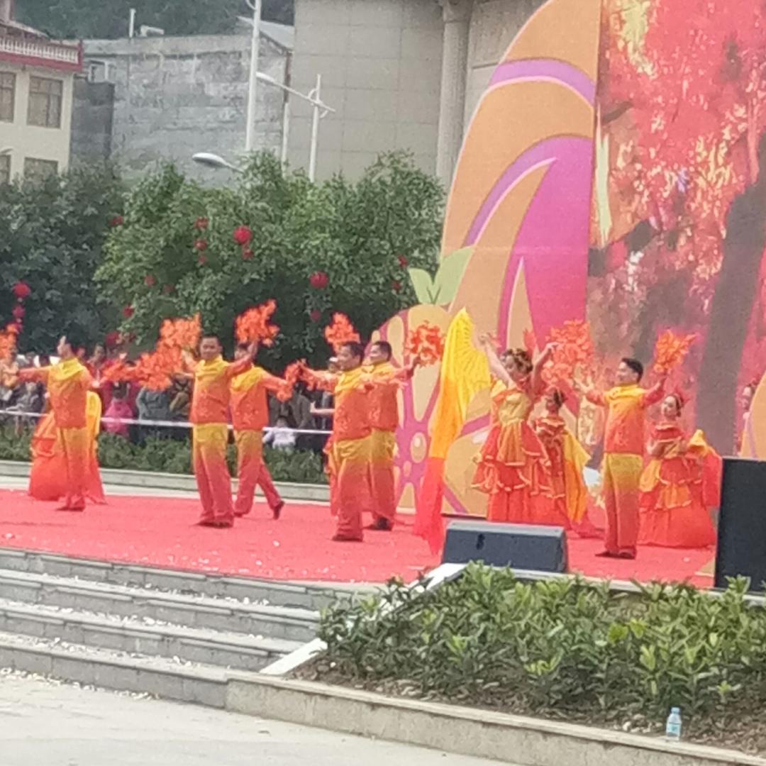 红枫贝贝