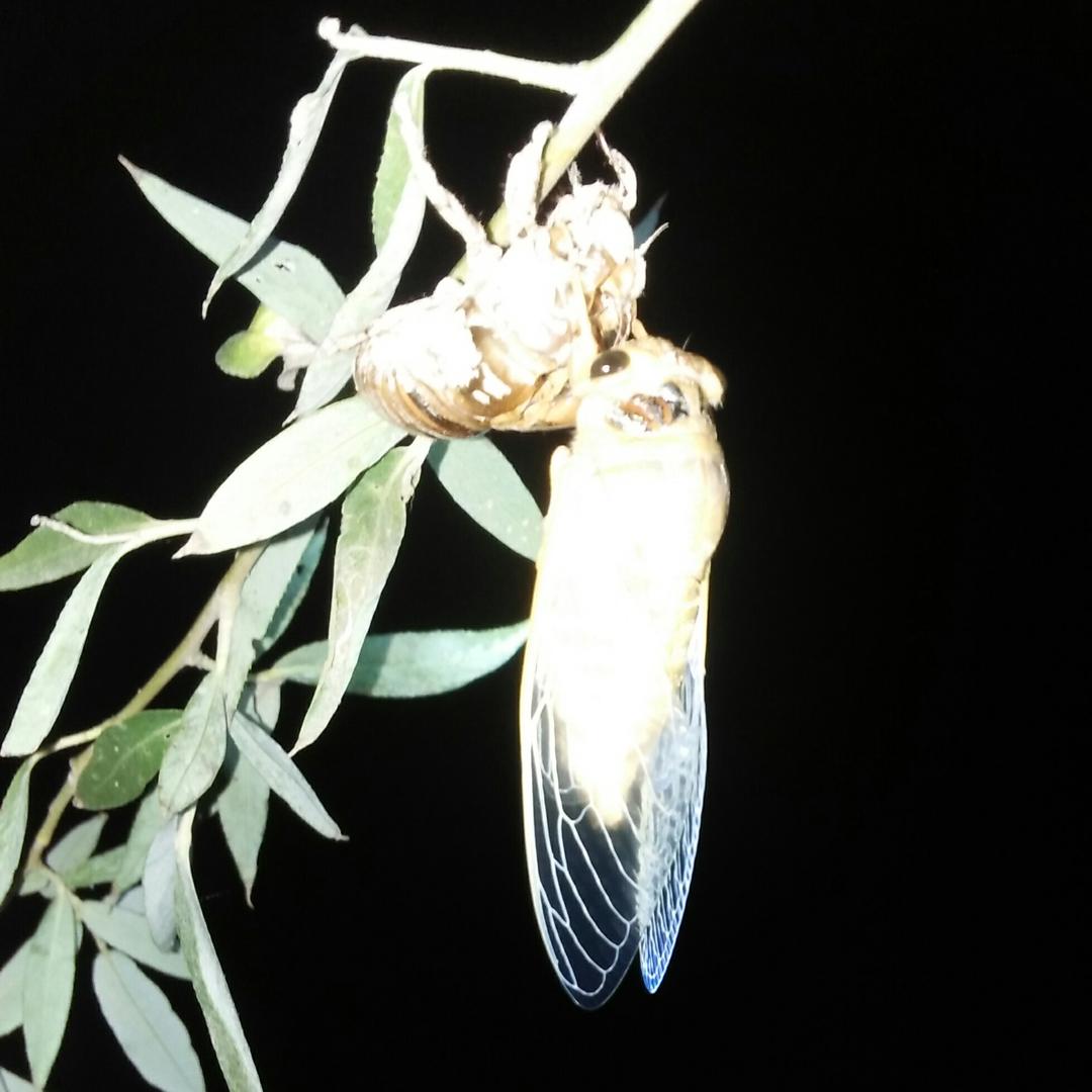 心宽则安🐔1574