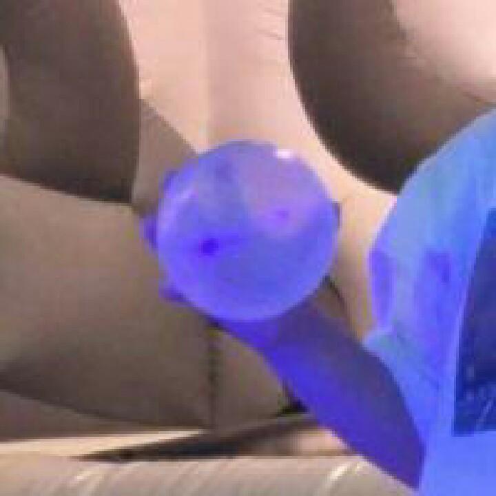 鹤.