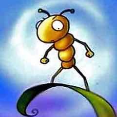 蚂蚁🐜