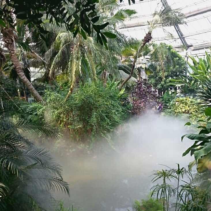 费城