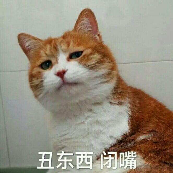 早就猜到辣