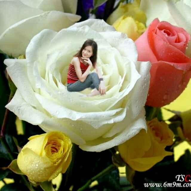 笑颜如花_38509