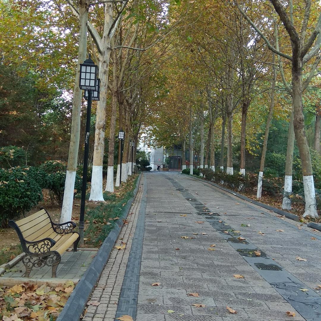 我是。谁