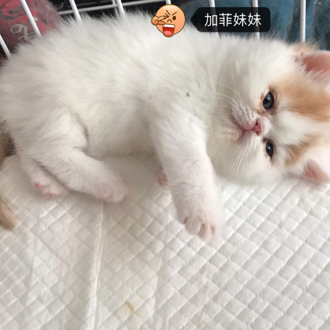 用户99896386