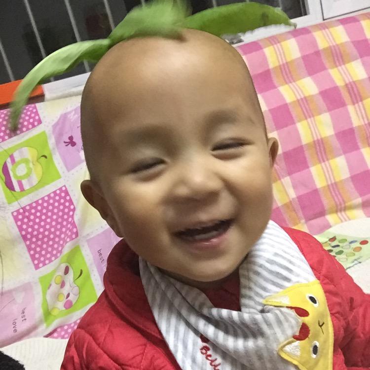 三毛的快乐生活