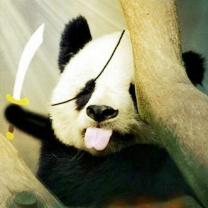 戢羽寒条