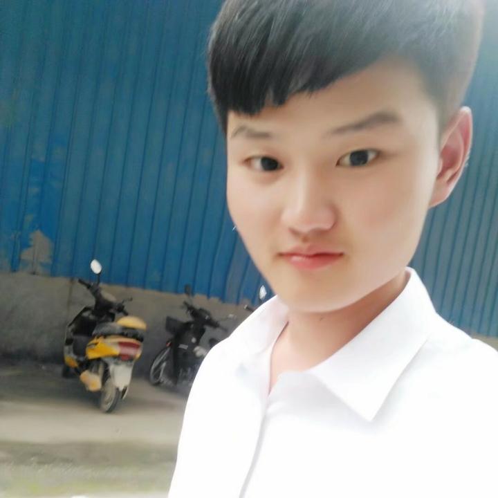 叉车阳仔