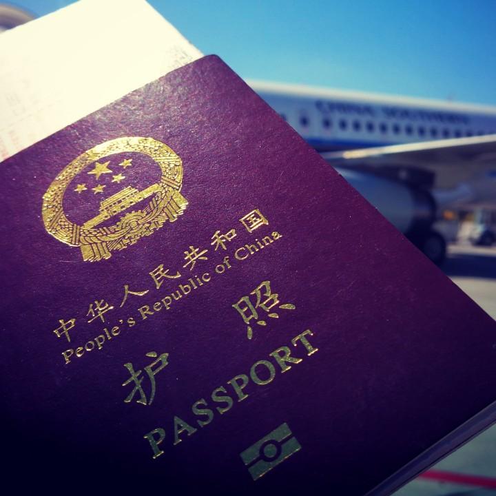 保护我方、鸡腿子🍗