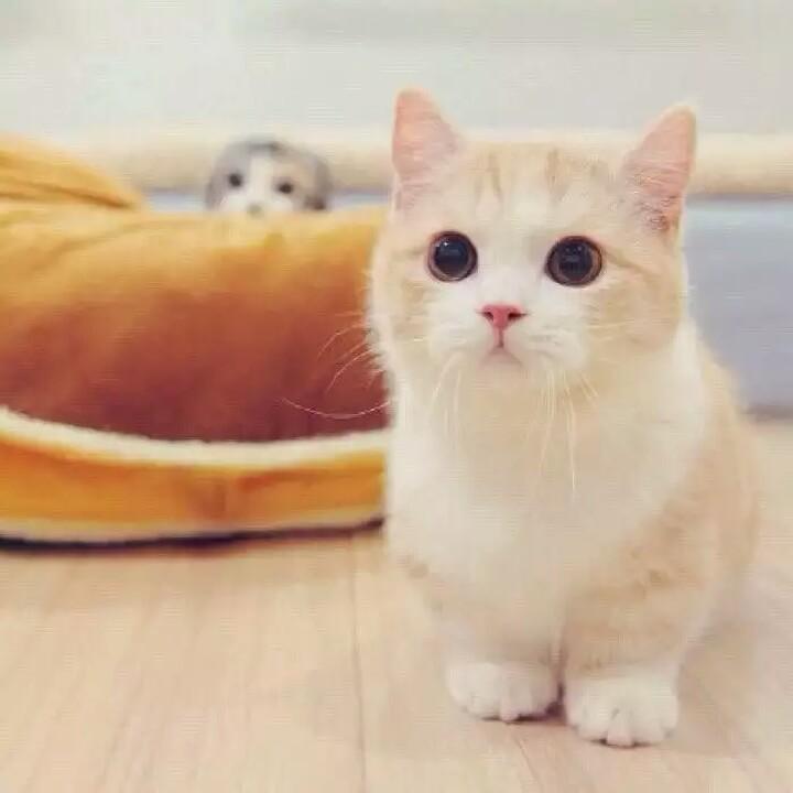 旭～