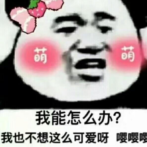 星星咩