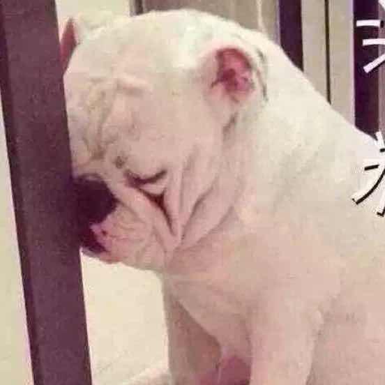 职场成长深观察