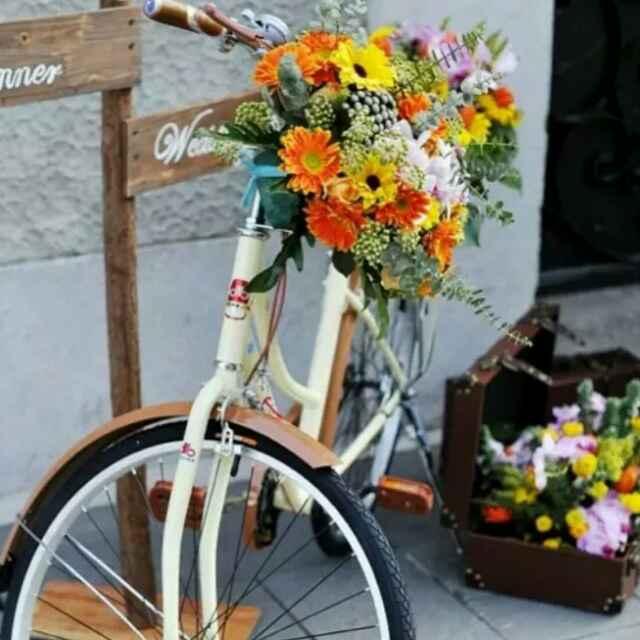 汾阳市情语鲜花坊#小熊自习室