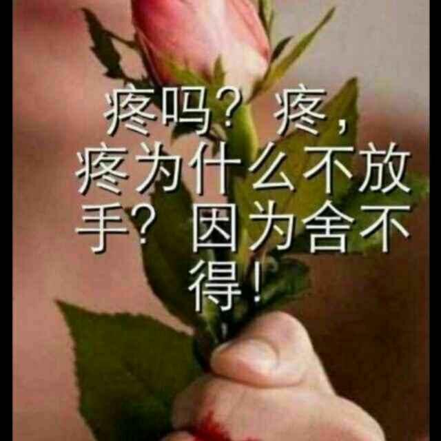沈清钢结构