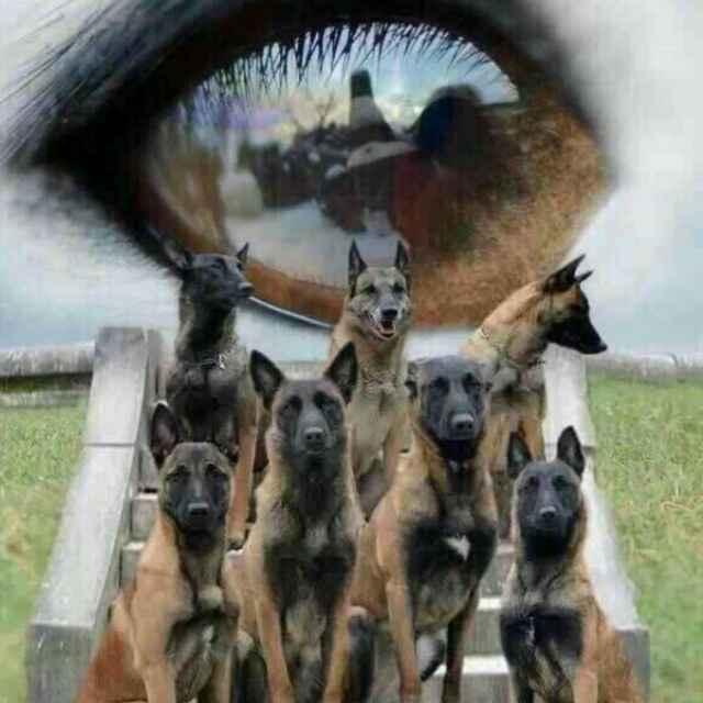 崔府