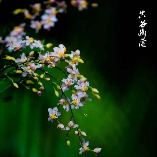 那些年