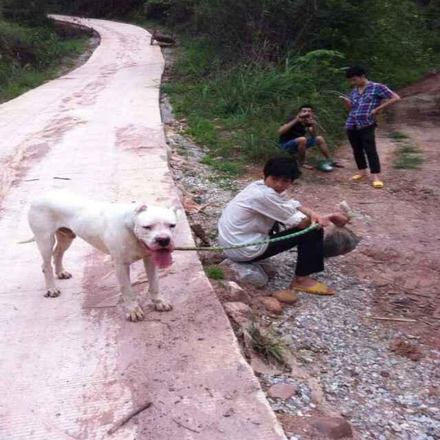 桂 P 对方正在输入……