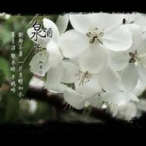 于露