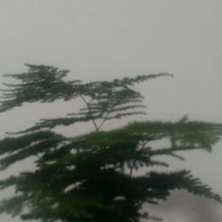 舂夏秋冬