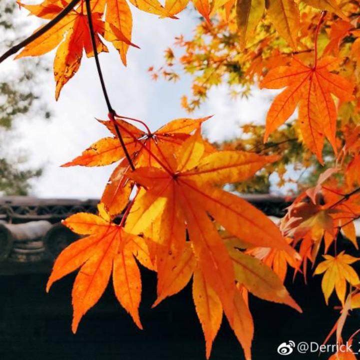 我一直都在