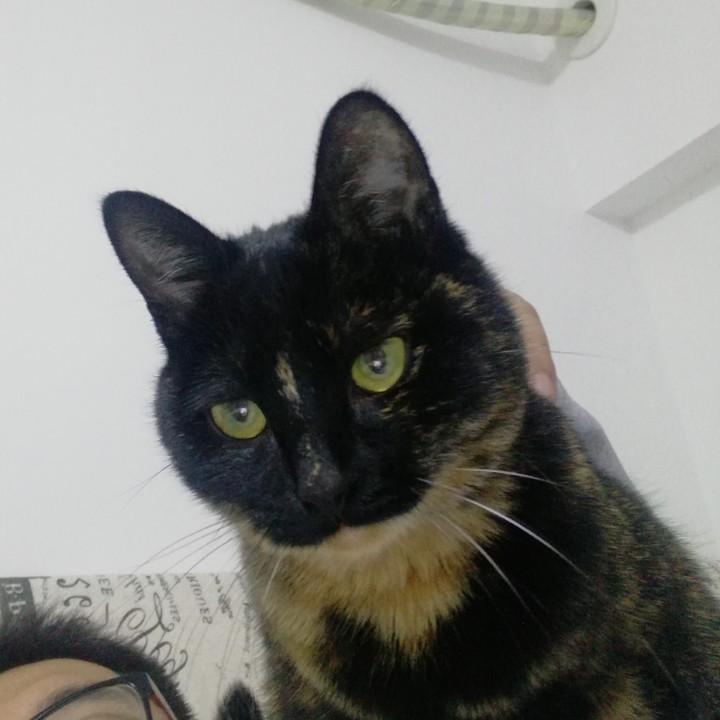 被选剩下的中年人