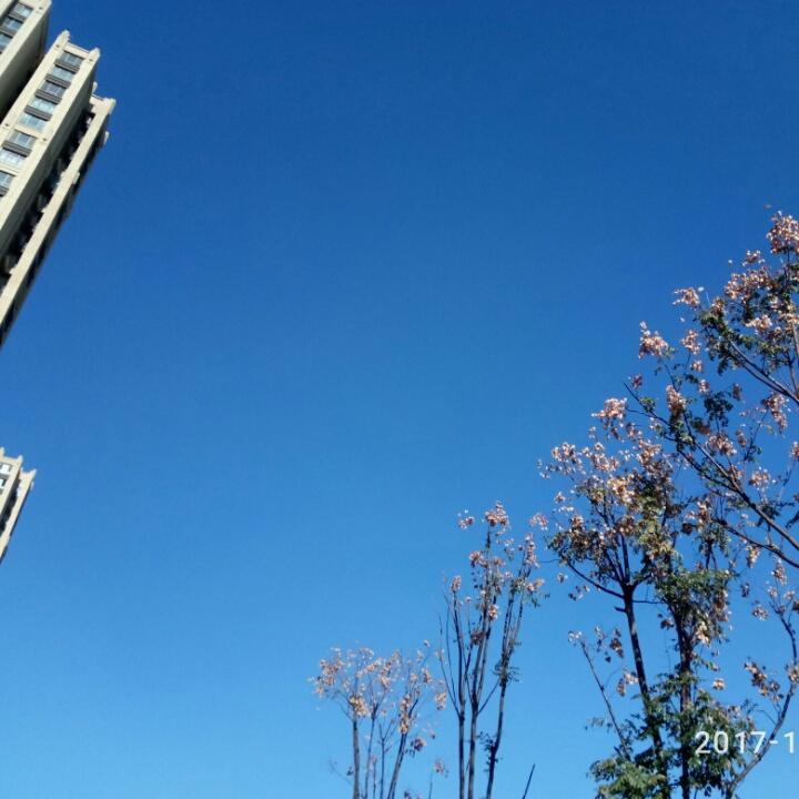 樱桃小丸子