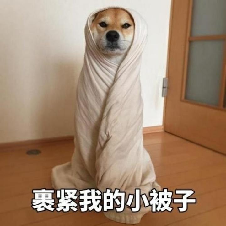 龙麟945