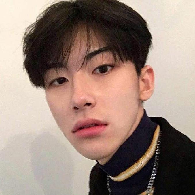 哈士奇