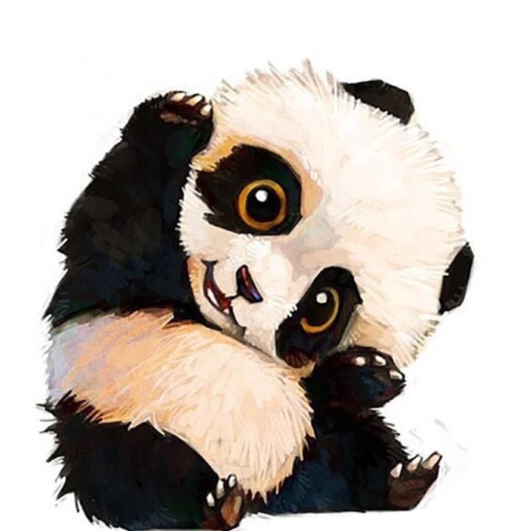 不粘人小巫婆