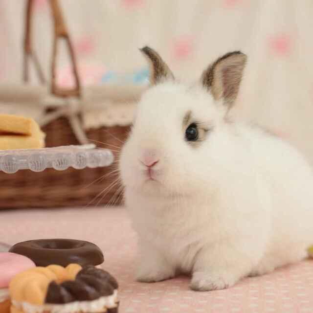南风月月
