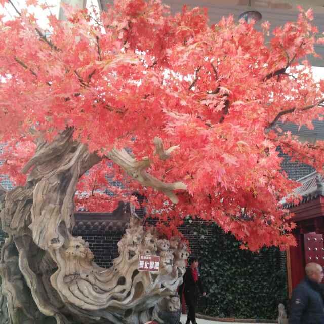 物竞天择