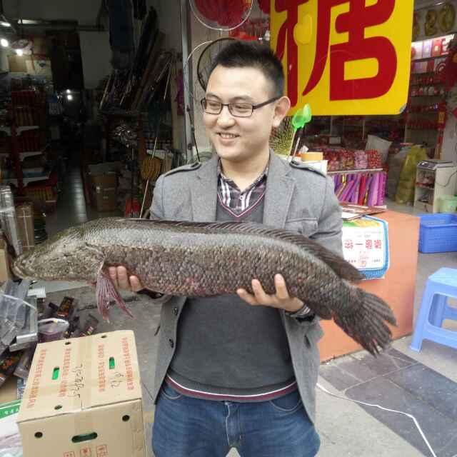 金诺钓具