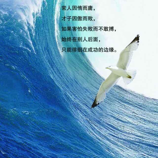 拼博