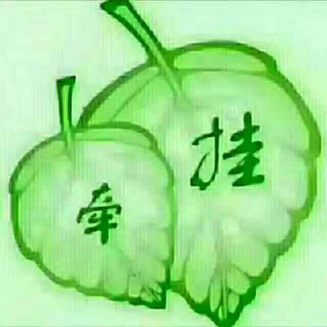 一帆风顺