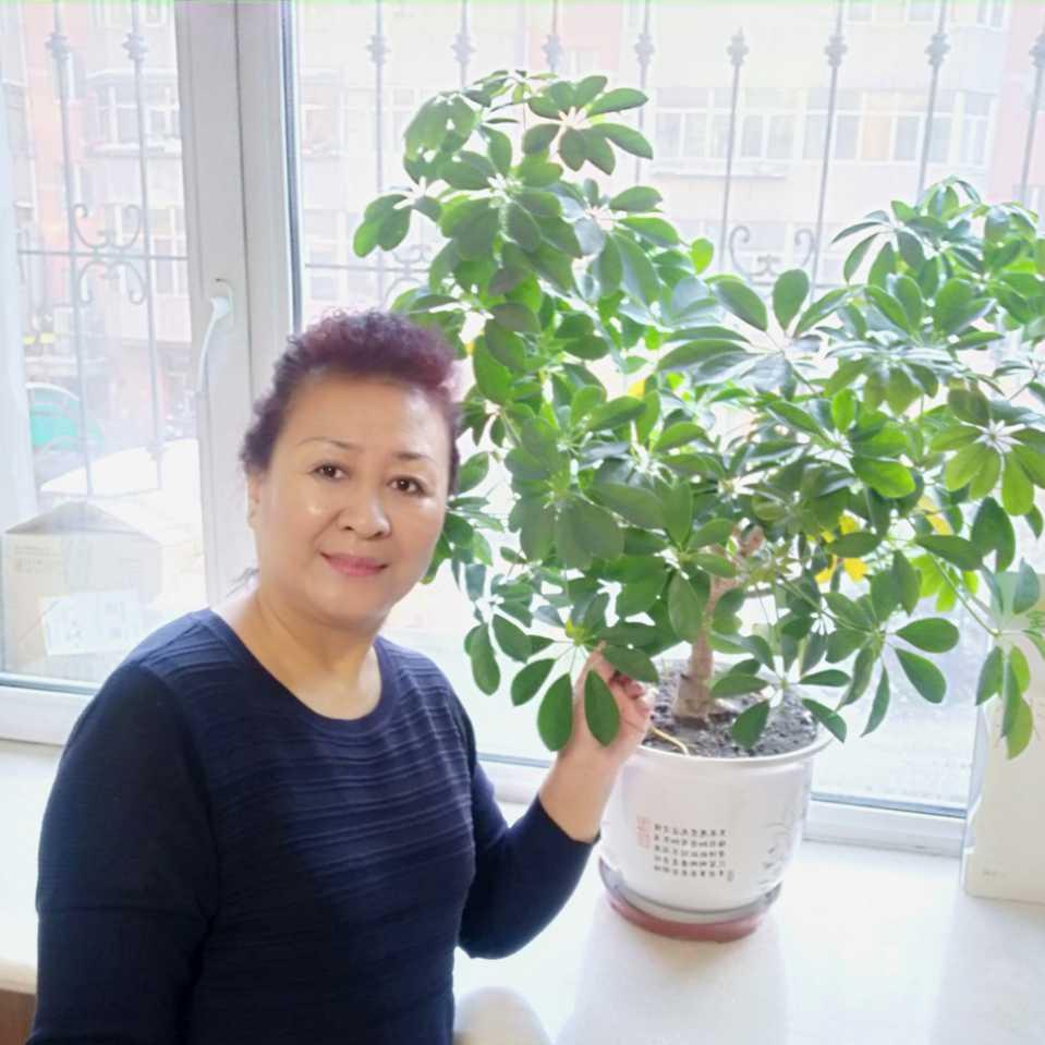 简单姐（铁团）