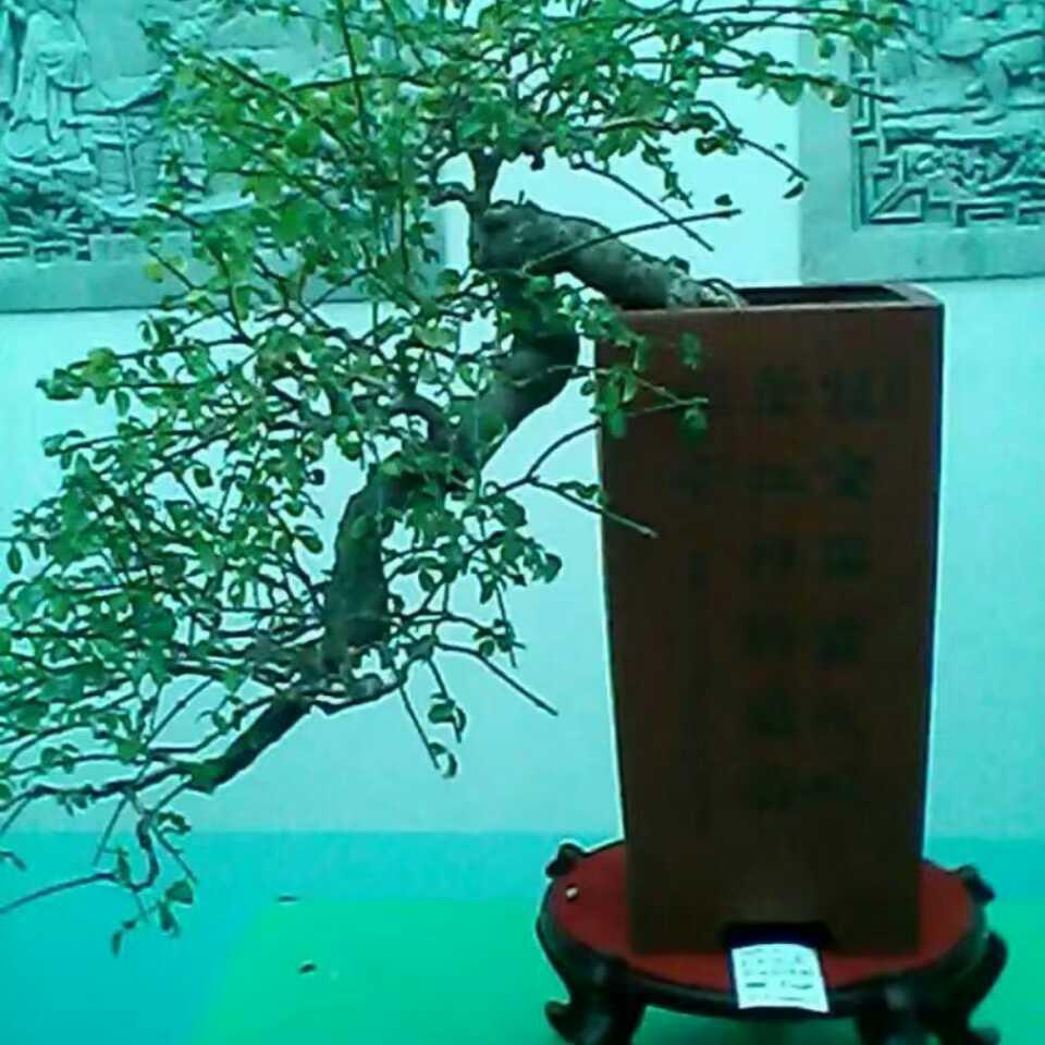 花哥卤味熟食