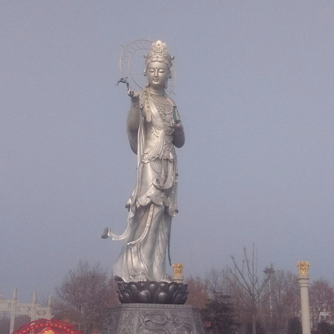 云飞369