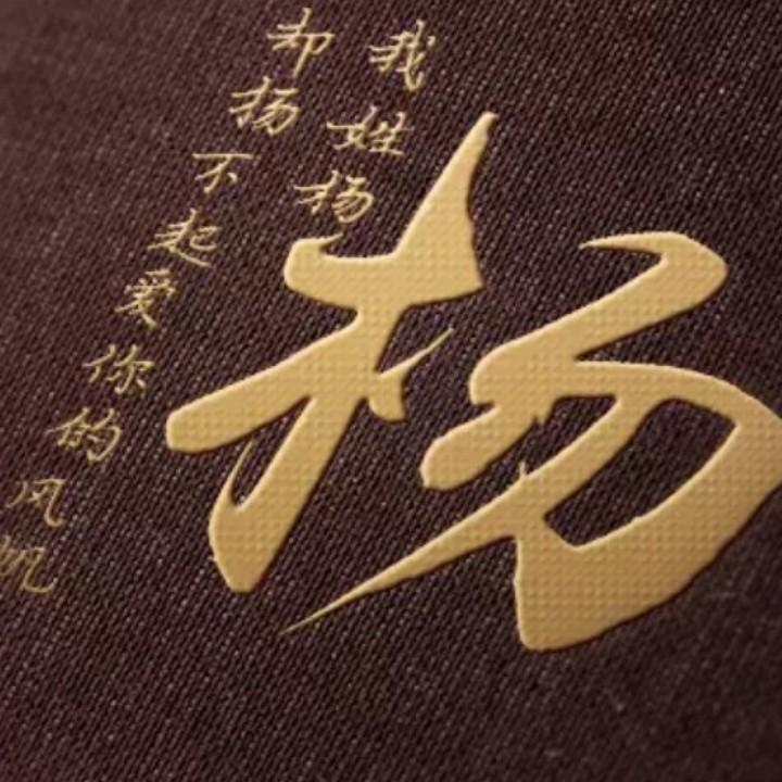 东阿济南网约车杨师傅