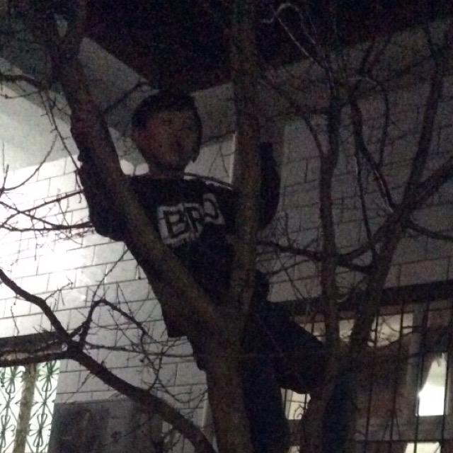 你猜