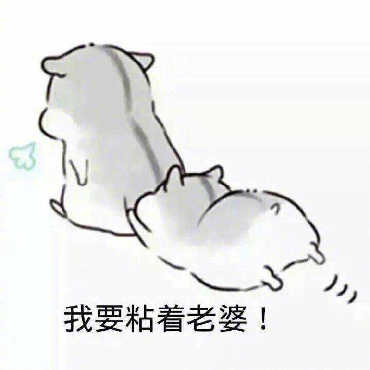 爱小雨