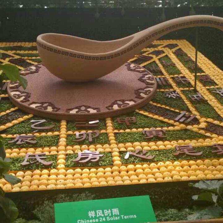 依依