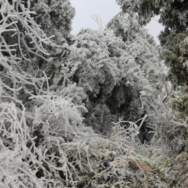 OK谭谭谭谭谭谭谭谭谭谭谭谭谭谭谭谭谭谭