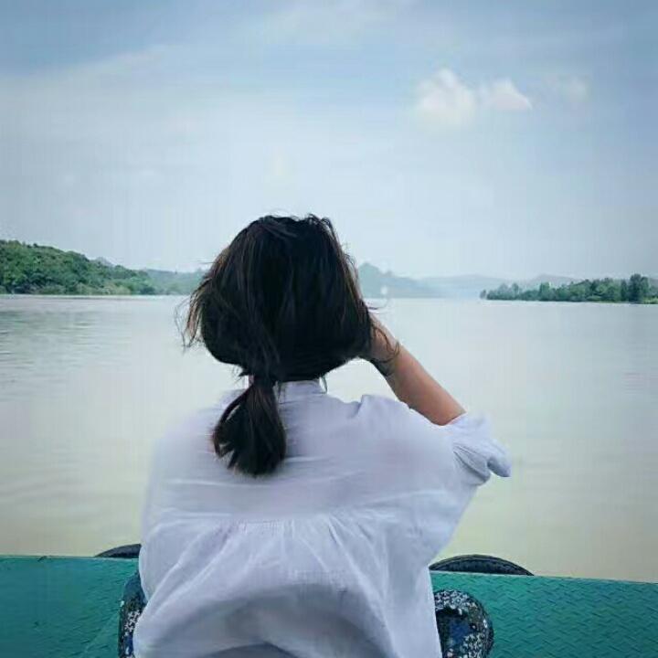 袜主题-郑郑郑郑