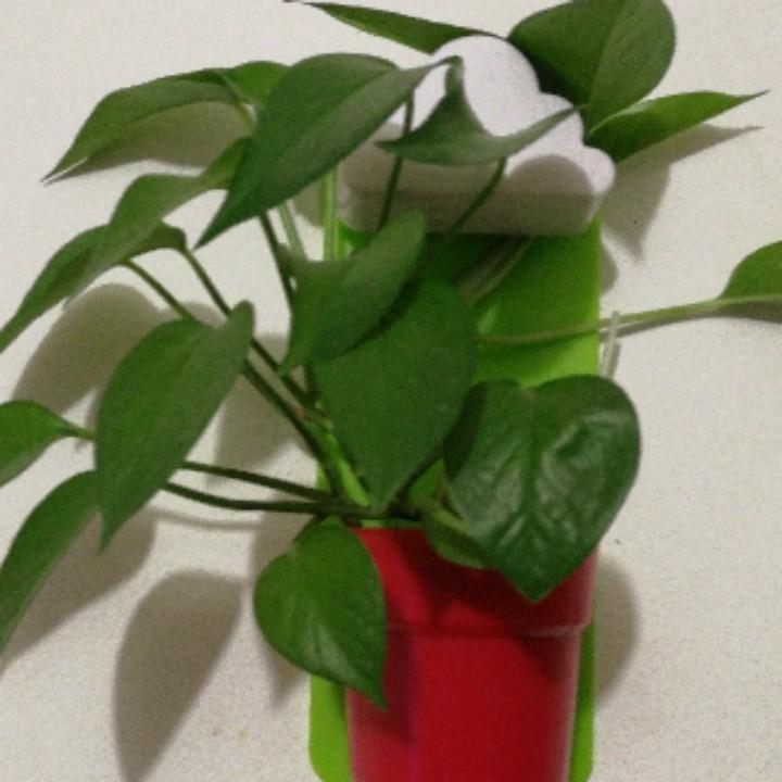 艾飞时尚休闲服饰