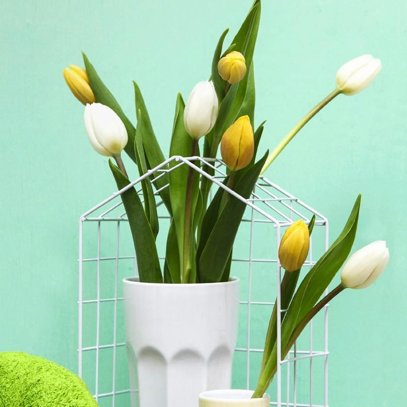 坦然一生香姐5c7e