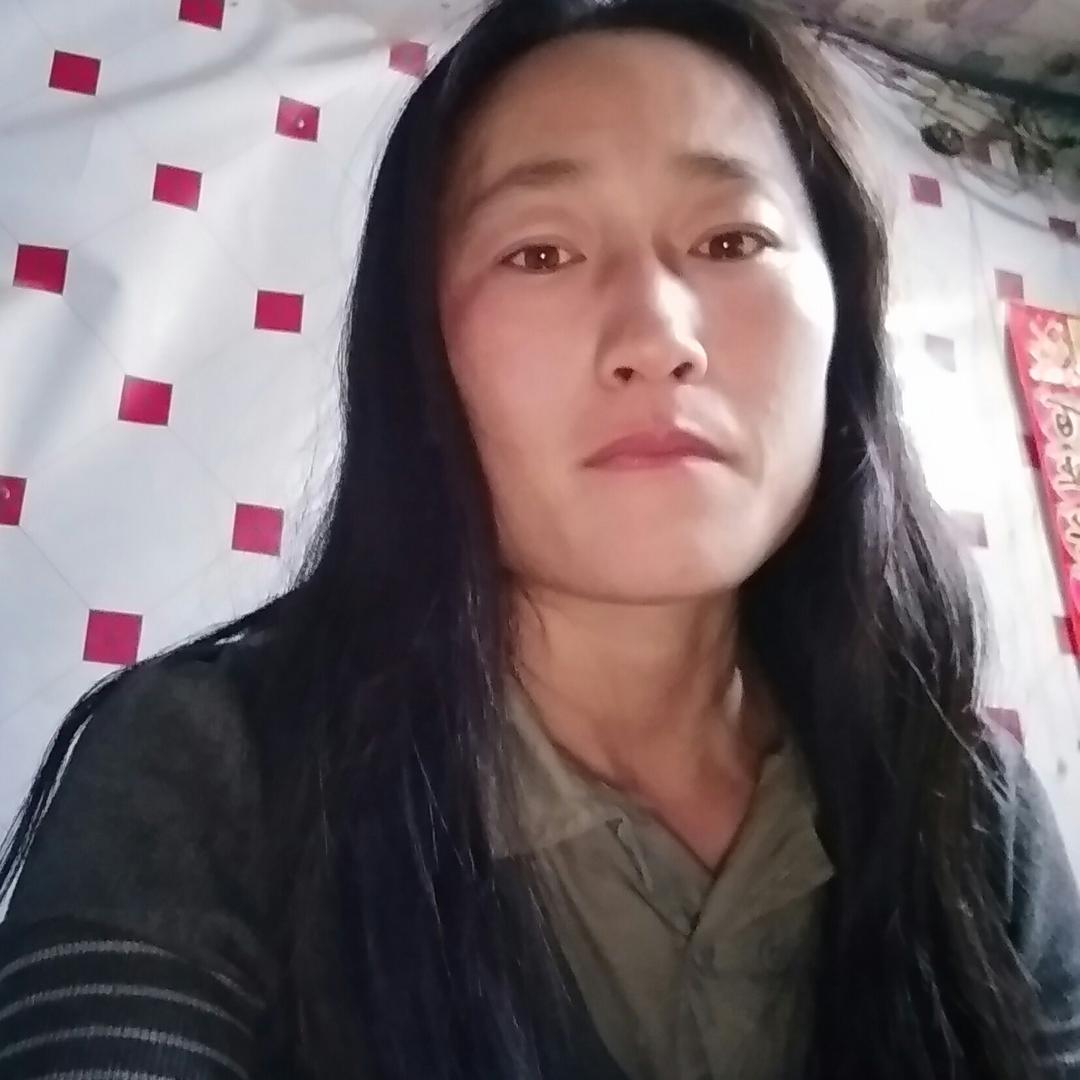 丹丹520