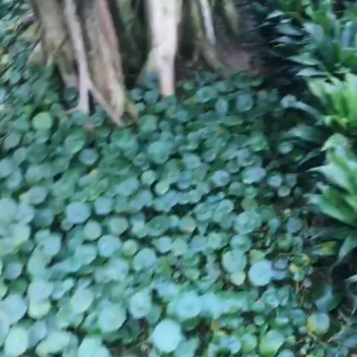 浅忆似锦年华1
