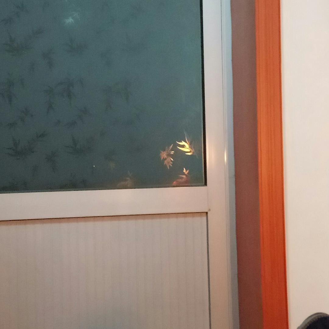 宋掌柜260890