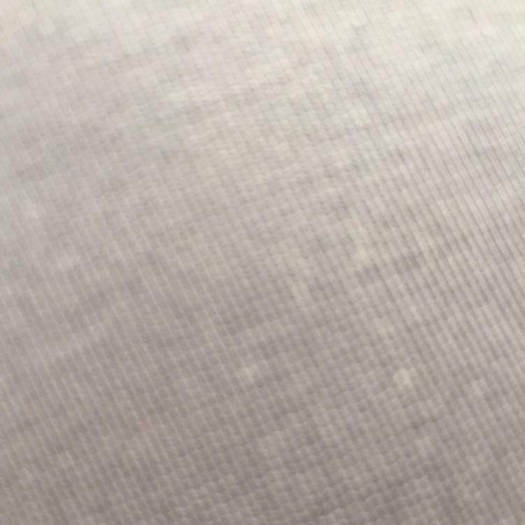 小鱼的记忆……