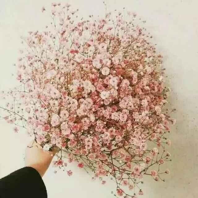 💋天奇奇丫头